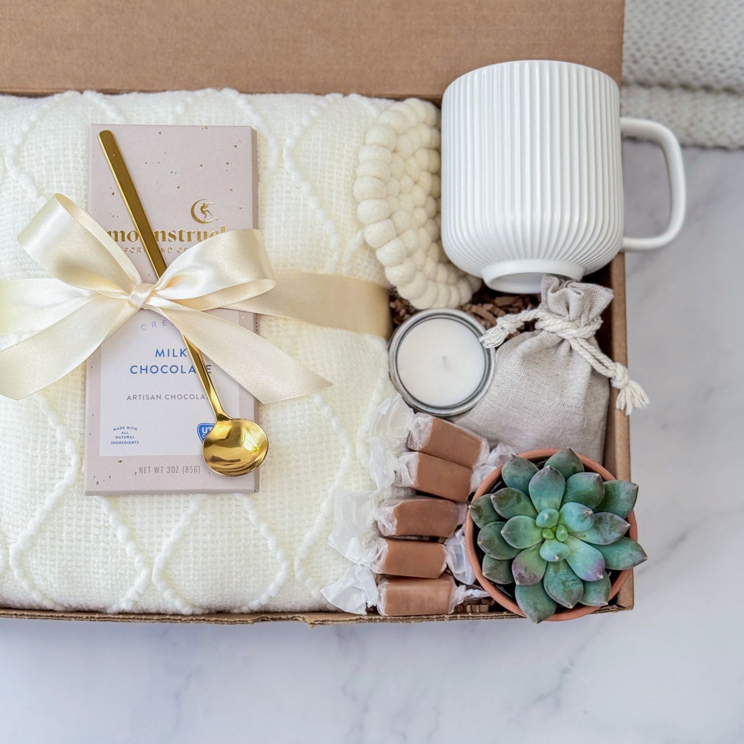 Cozy Succulent Gift Set