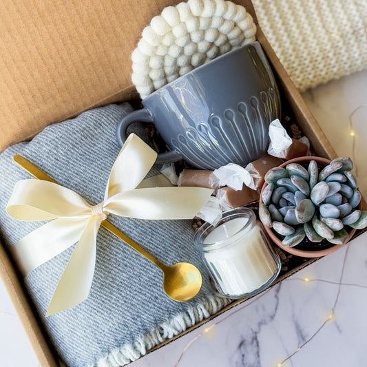 Succulent Gift Box | Grey