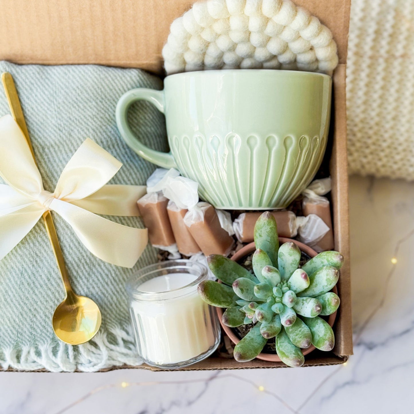 Succulent Gift Box | Green