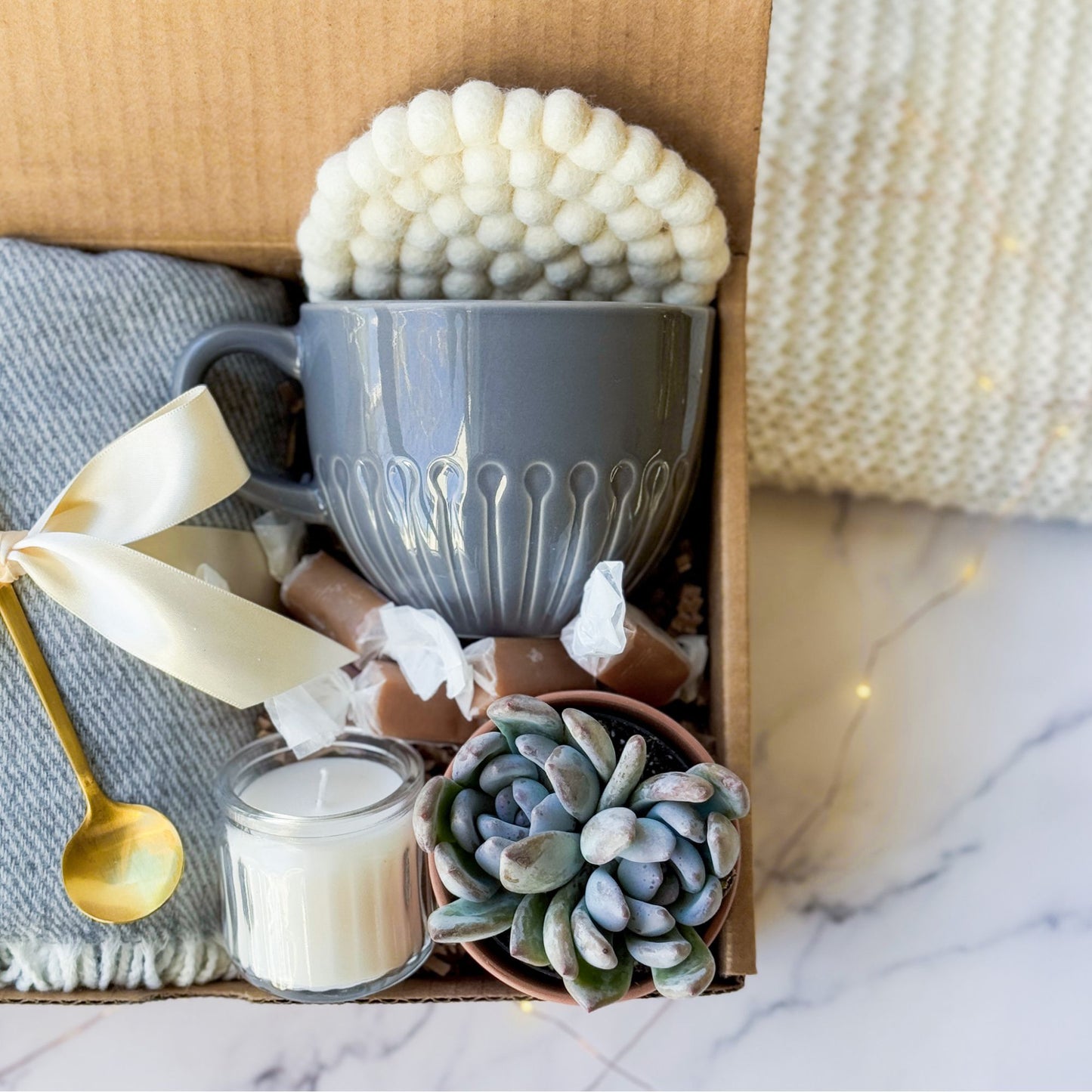 Succulent Gift Box | Grey