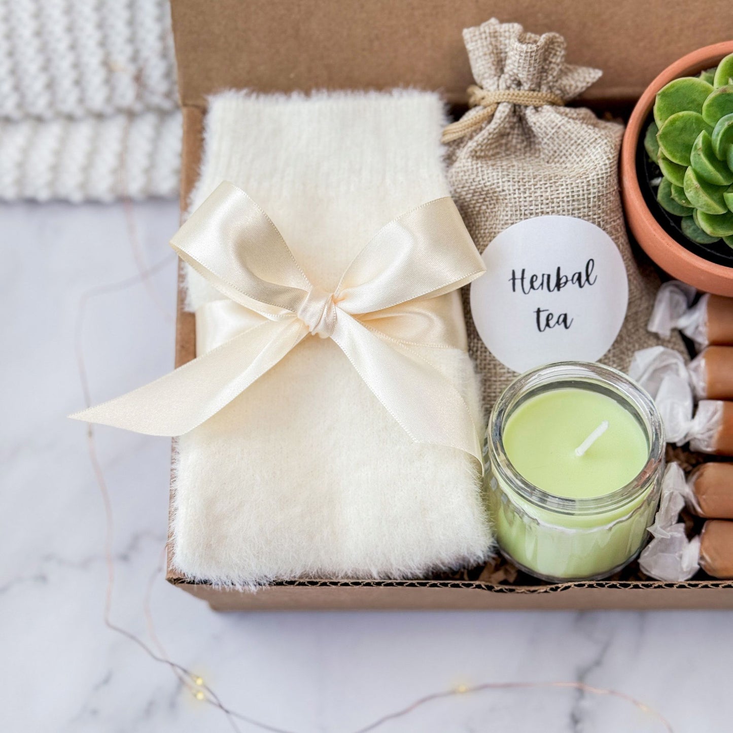 Cozy Plant Gift