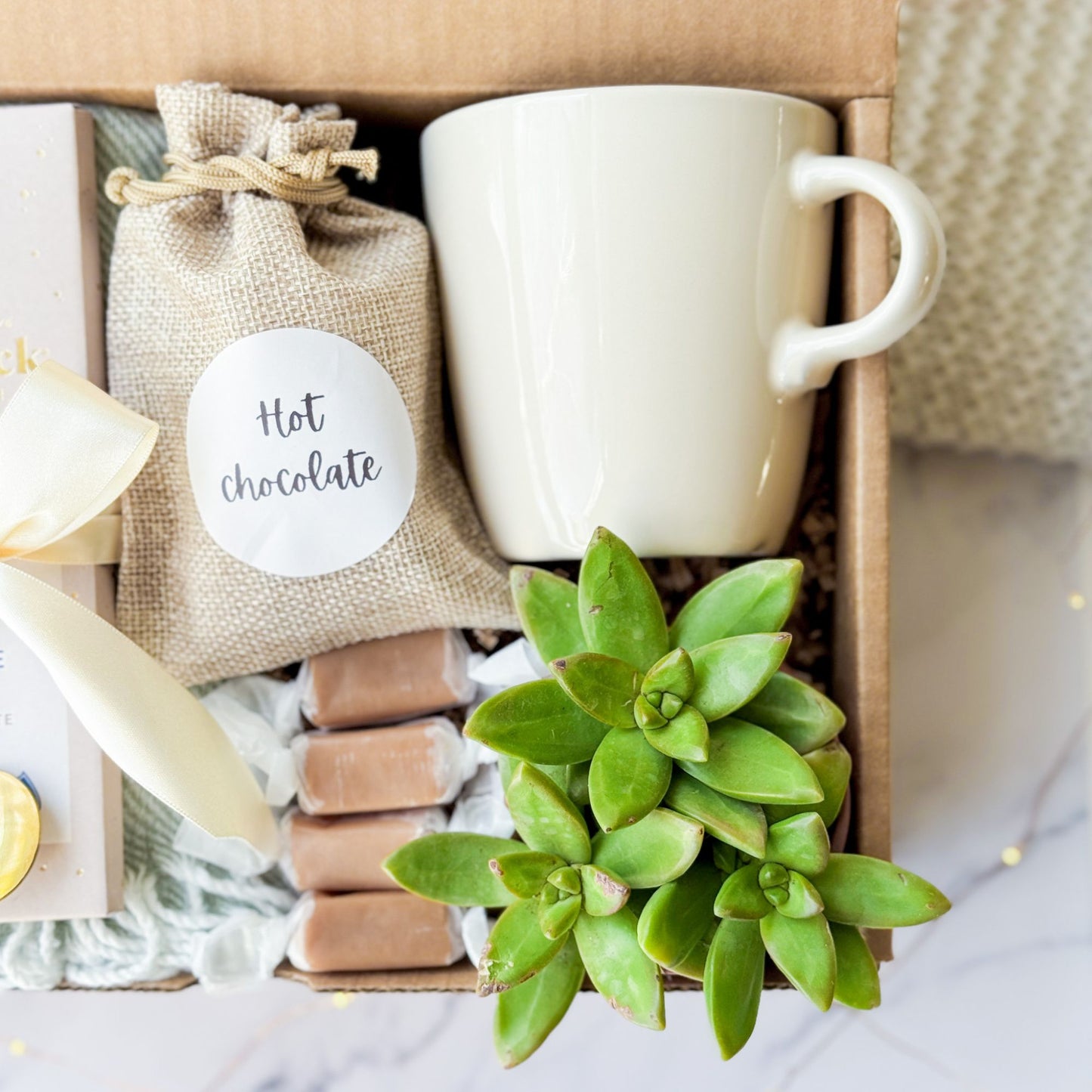 Succulent Gift Box