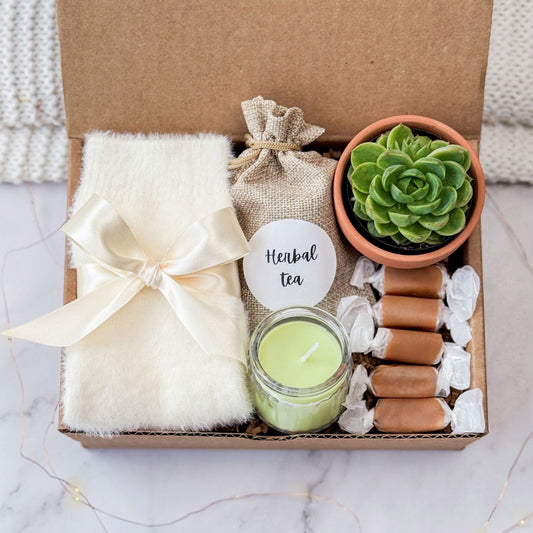 Cozy Plant Gift