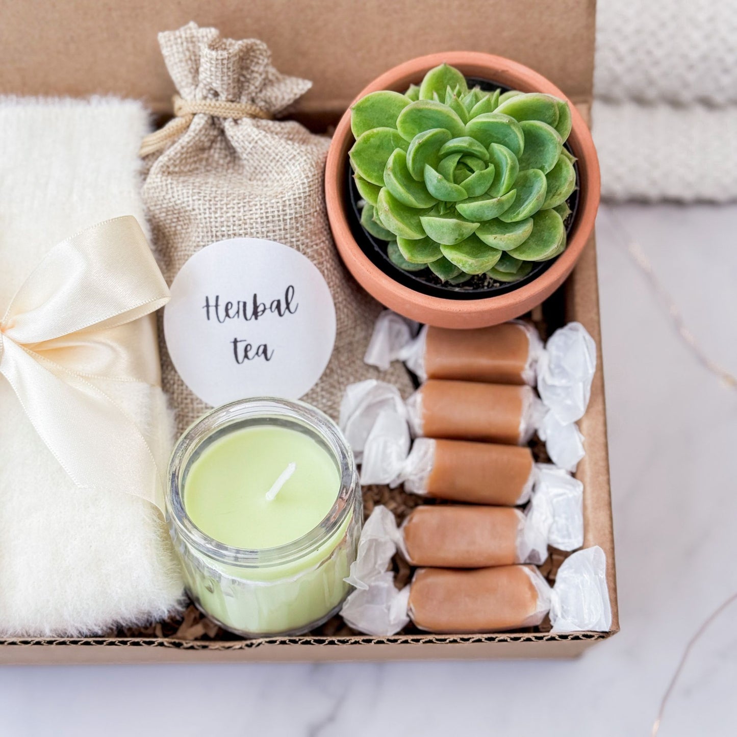 Cozy Plant Gift