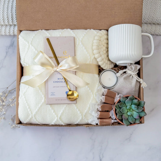 Cozy Succulent Gift Set